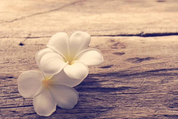 Beautiful plumeria or temple,spa flower on rustic wood backgroun — Stock Photo, Image