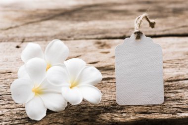 Beyaz kağıt etiket etiket süslemeleri rustik w üzerinde plumeria çiçekli
