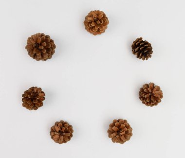 Çam kozalakları beyaz arka plan, Noel süs karede daire