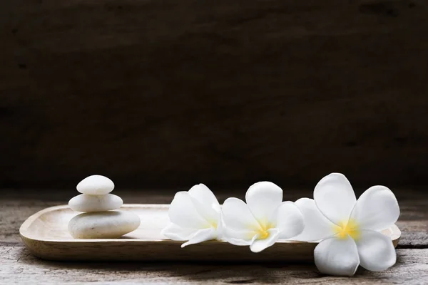 Beautiful plumeria or temple,spa flower with white zen stones on — Stock Photo, Image