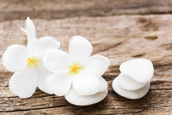 Beautiful plumeria or temple,spa flower with white zen stones on — Stock Photo, Image