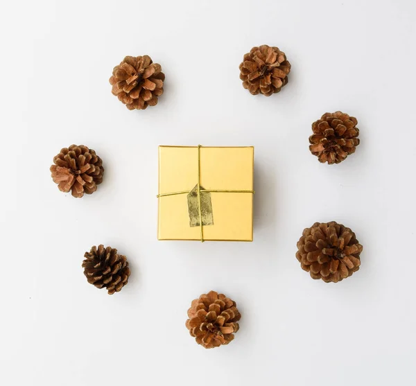 Kerst ornamate bruin geschenk doos en pine kegels verse groene beha — Stockfoto