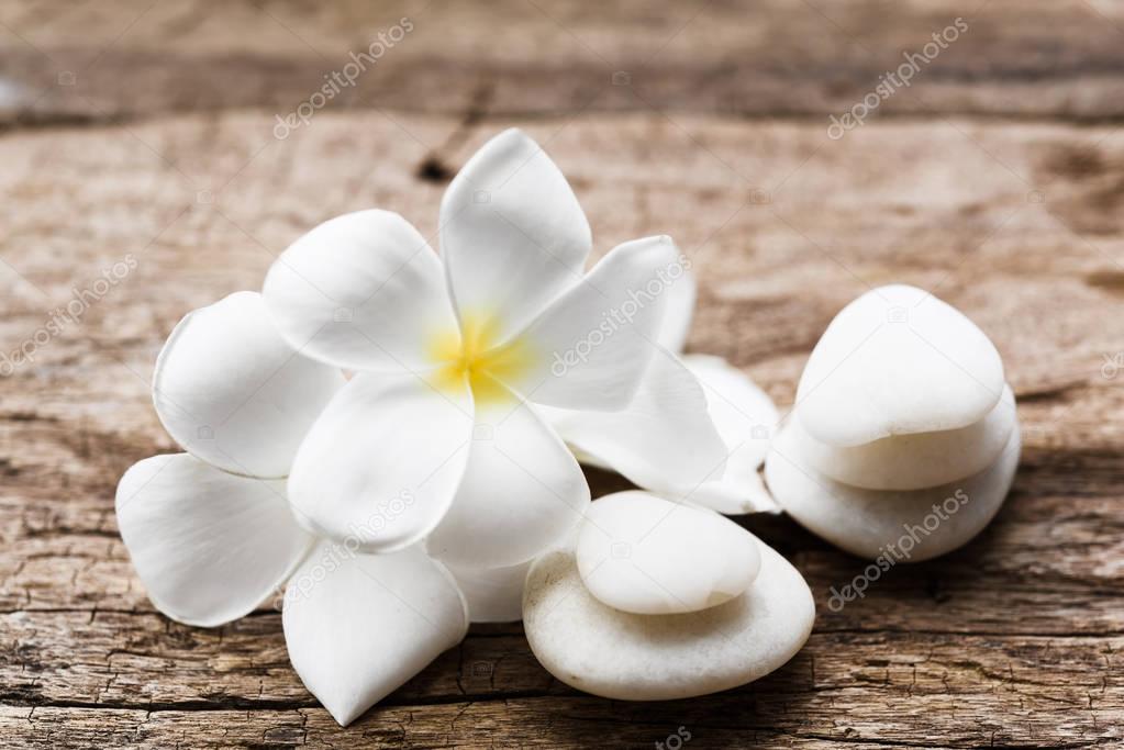 Beautiful plumeria or temple,spa flower with white zen stones on