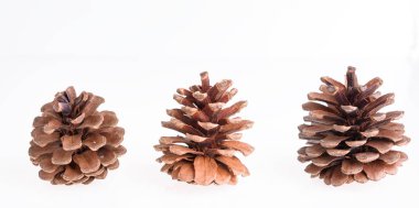 Beyaz arka planda çam kozalakları, Noel süsü
