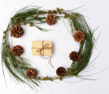 Noel ornamate kahverengi hediye kutusu ve çam kozalakları taze yeşil sutyen