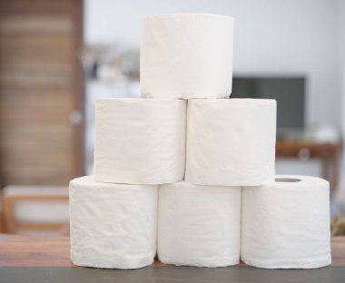Oturma odasının iç tarafında tuvalet kağıdı ruloları var.