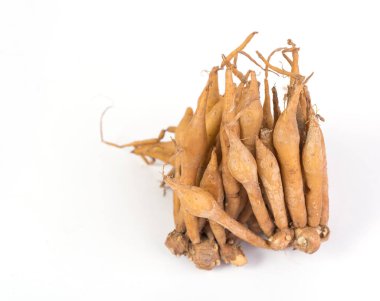 Beyaz arka planda izole edilmiş parmak kökü, Tayland bitkileri, baharatlar ve besin maddeleri için kullanışlı