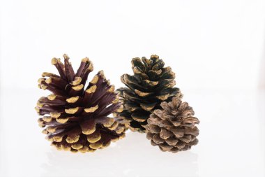 Beyaz arka planda çam kozalakları, Noel süsü