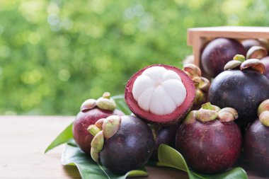 Ahşap masada yeşil bulanık arka planı olan taze Mangosteen meyvesi Tayland 'da meyve kraliçesi, soğuk meyve.