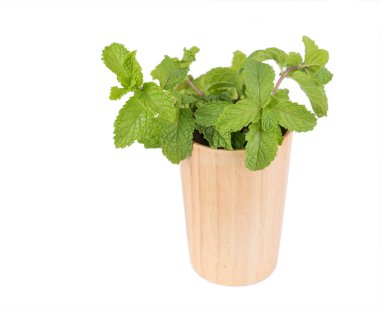 Tahta masadaki ahşap camlı yeşil nane yaprağı arka planda izole edilmiş.