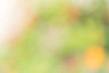 Soyut pastel bokeh bulanık arkaplan