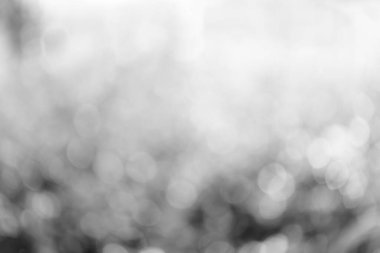 Soyut siyah beyaz bokeh bulanık arkaplan
