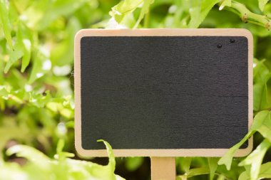 Yeşil alan arkaplanı üzerine kara tahta