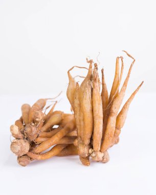 Beyaz arka planda izole edilmiş parmak kökü, Tayland bitkileri, baharatlar ve besin maddeleri için kullanışlı