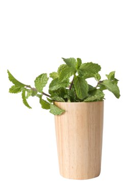 Tahta masadaki ahşap camlı yeşil nane yaprağı arka planda izole edilmiş.