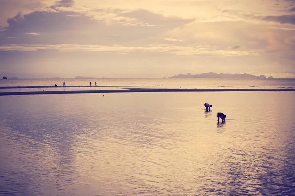 Praia Céu Vintage Entardecer — Fotografia de Stock