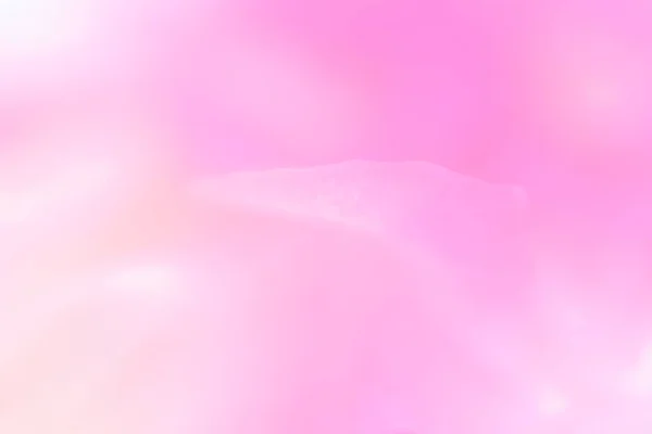 Beautiful Soft Color Rose Petals Sweet Pastel Blurred Background — Stock Photo, Image