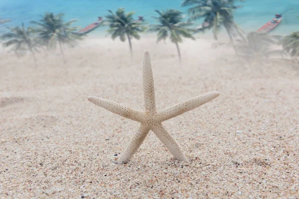 Estrella Mar Parada Playa Con Mar Azul Fondo Palmera Coco —  Fotos de Stock
