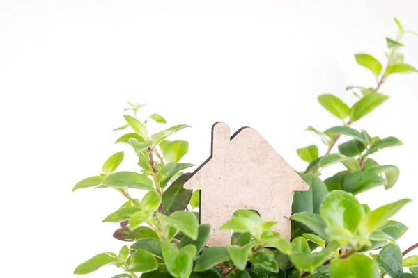 House Sign Icon Green Leaves Branch Isolated White Background — Stock Photo, Image