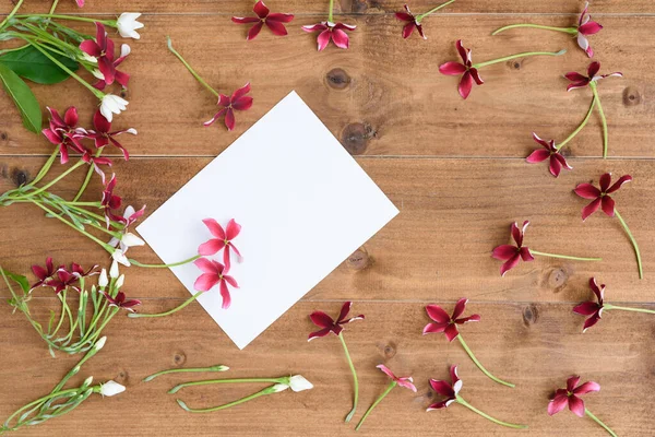 Projeto Configuração Plana Com Rastejador Rangum Quisqualis Indica Flor Cartão — Fotografia de Stock