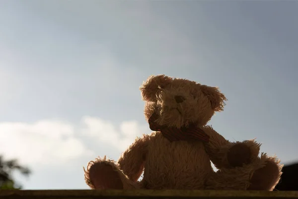 Single teddy bear with blue sky background