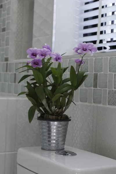 Decoración Flores Interior Del Baño Moderno — Foto de Stock