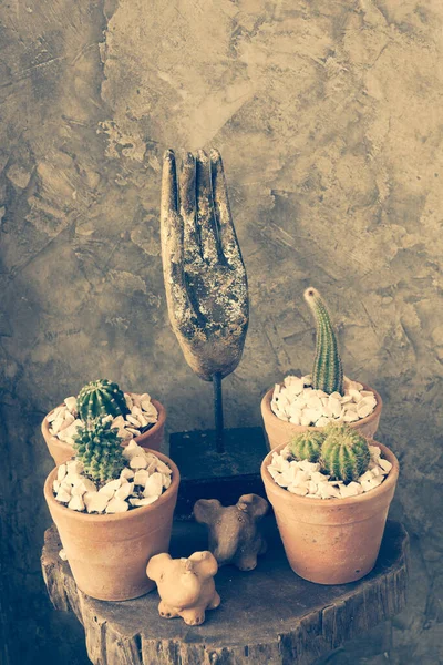 Cactus Maceta Flores Decoración Mano Vintage Sobre Fondo Grunge Efecto — Foto de Stock