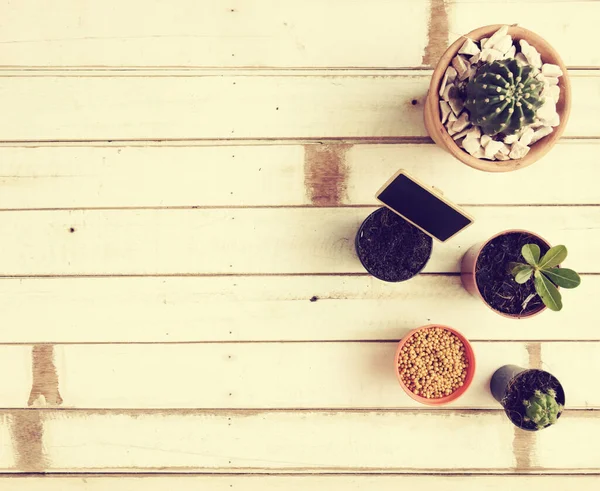 Escritorio Jardinería Plano Con Plantas Cactus Maceta Pizarra Negra Sobre — Foto de Stock