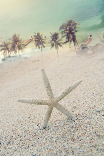 Stand Poisson Étoilé Sur Plage Avec Mer Bleue Fond Cocotier — Photo