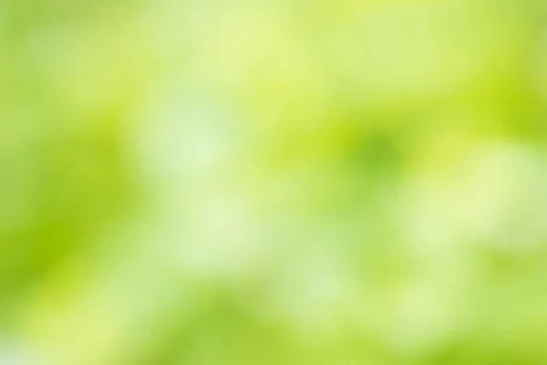 Абстрактний Дефокусований Жовтий Зелений Розмитий Фон — стокове фото