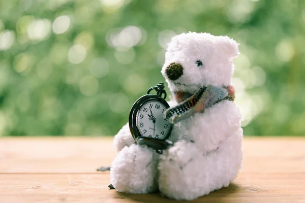 Cute Teddy Bear Sit Wooden Table Pocket Watch Nature Green — Stock Photo, Image