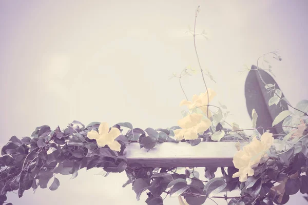 Yazın Mavi Gökyüzüne Karşı Güzel Sarı Çiçekleri Olan Metal Çitler — Stok fotoğraf
