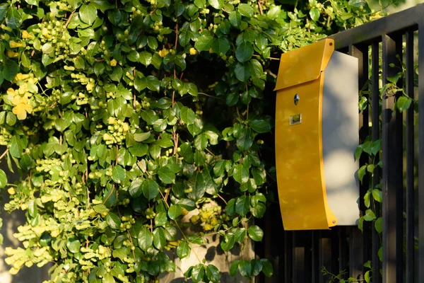 Modern yellow mail box on black fence with beautiful yellows background