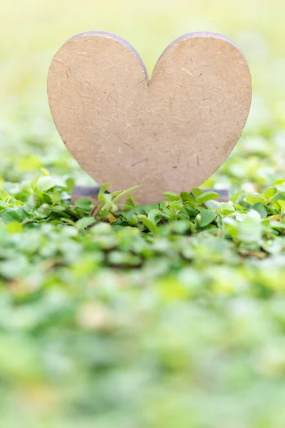 Icono Corazón Madera Fondo Hierba Verde Fresca Luz Del Sol —  Fotos de Stock