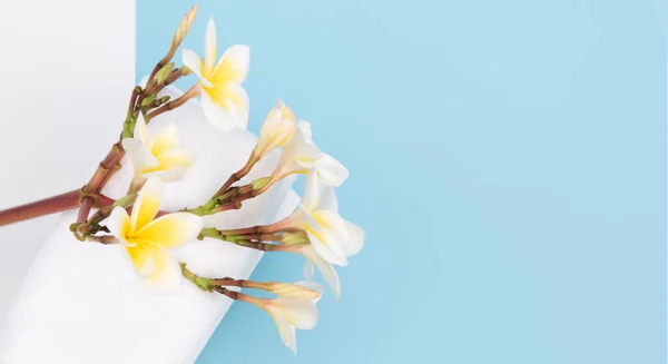 Bílý Ručník Krásné Francipál Nebo Plumeria Lázeňské Květiny Modrém Pozadí — Stock fotografie