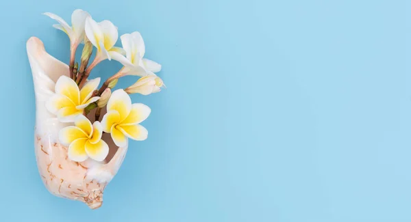 Beautifuk Tropical Frangipani Plumeria Spa Flower Set Sea Shell Vlue — Stock Photo, Image
