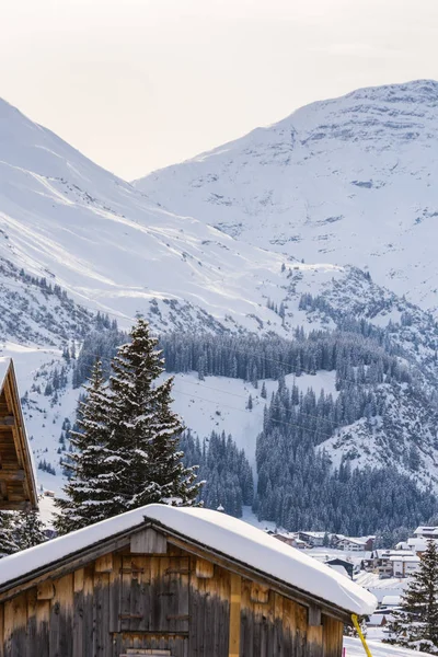 Tchad avec neige dans les Alpes autrichiennes — Photo