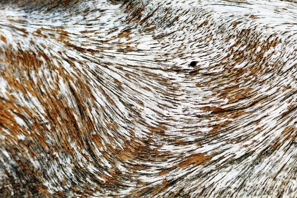 Zamknij Tekstury Drewna Tła Pokazać Zatrzymać Tekstury Linii — Zdjęcie stockowe
