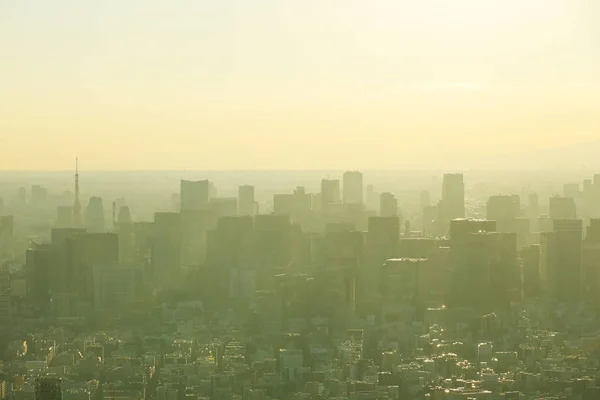Beautiful city landscape of Tokyo city in the sunrise and Faint fog, cover the wind.