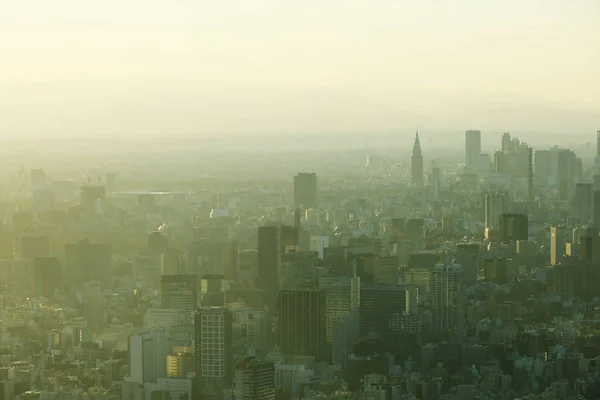 Tokyo Stadtlandschaft Und Bürogebäude Tokio Japan — Stockfoto