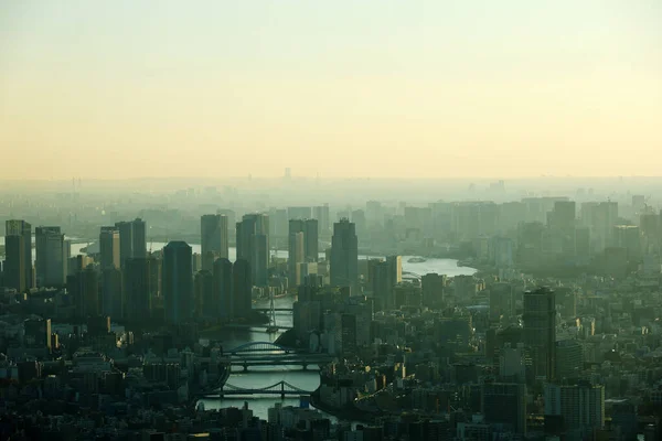 Beautiful city landscape of Tokyo city in the sunrise and faint fog, cover the wind.