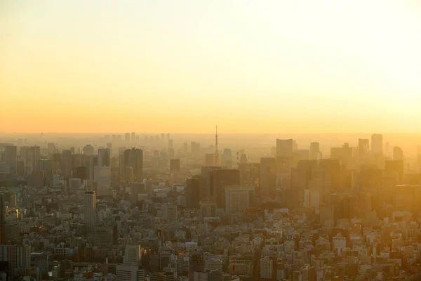 Schöne Stadtlandschaft Der Stadt Tokio Sonnenaufgang Und Nebel Bedeckt Den — Stockfoto