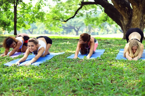 Felicidad Mujer Joven Ejercicio Yoga Por Mañana Jardín Parque — Foto de Stock