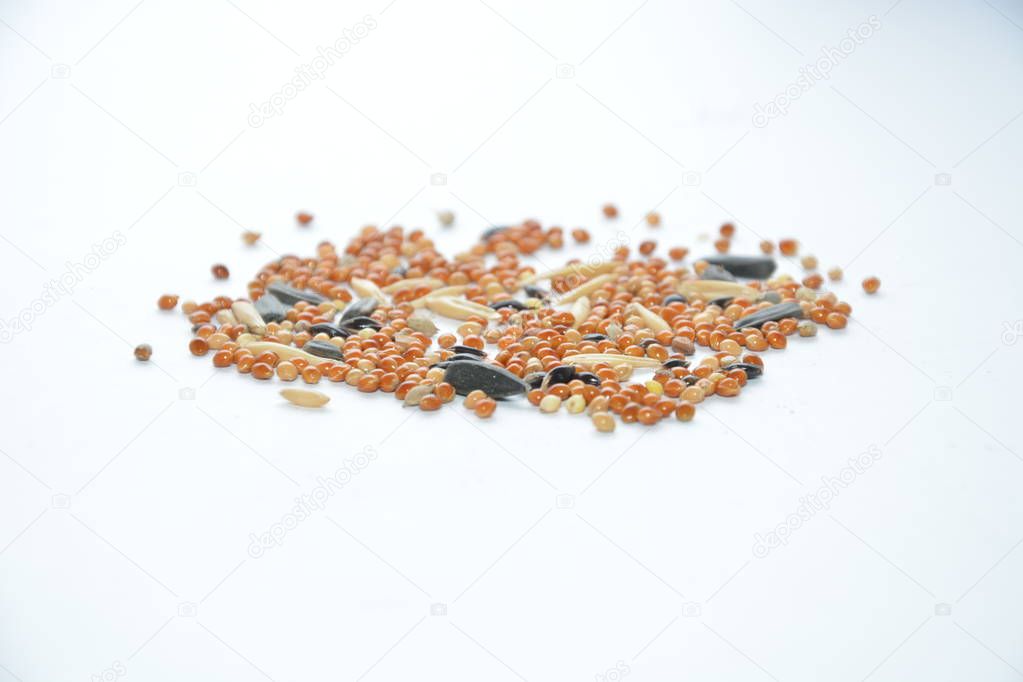 Bird seed and nuts