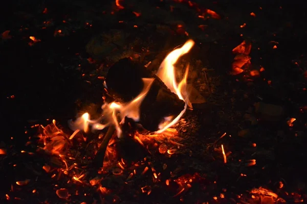 Feu Avec Fumée Feu Beau Bois Flamme — Photo