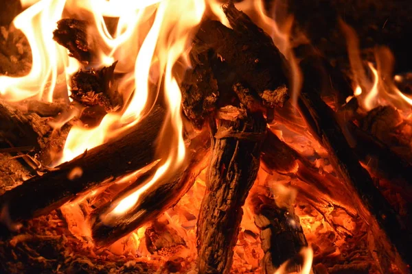 Feu Avec Fumée Feu Beau Bois Flamme — Photo