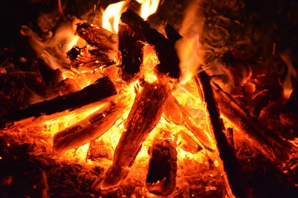 Fuego Con Humo Fuego Hermosa Llama Madera — Foto de Stock