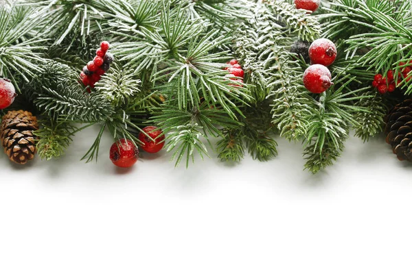 クリスマスツリーの枝の背景 — ストック写真