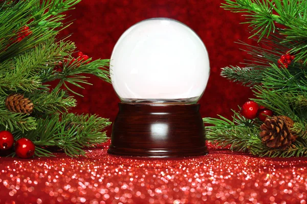 Karácsonyfa ágak üres snowglobe — Stock Fotó