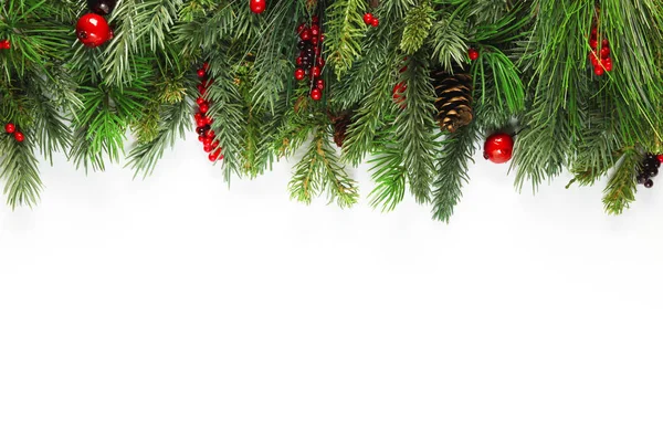 Noel ağacı dalları arka planda — Stok fotoğraf